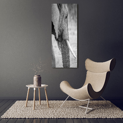 Quadro in vetro acrilico verticale Elefante