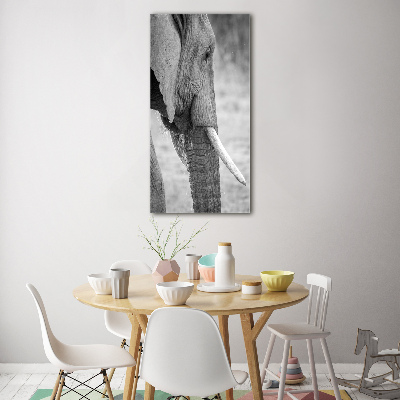 Quadro in vetro acrilico verticale Elefante