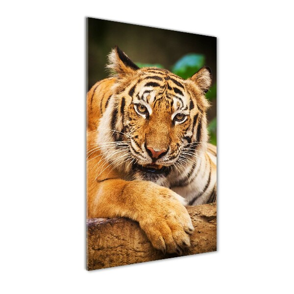 Quadro acrilico verticale Tigre del Bengala