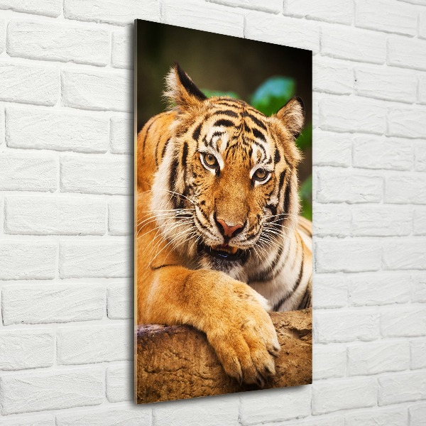 Quadro acrilico verticale Tigre del Bengala
