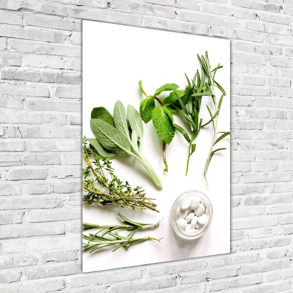 Quadro acrilico verticale Erbe