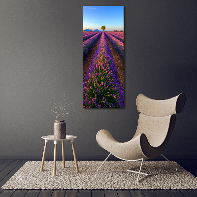 Quadro acrilico verticale Campo di lavanda