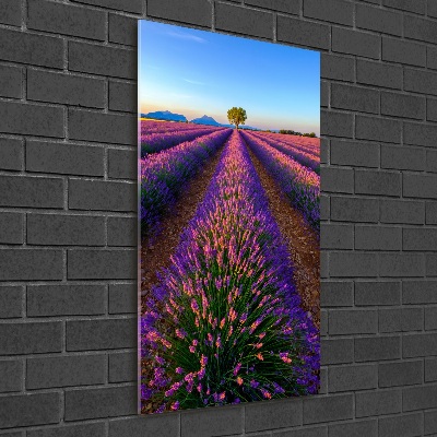 Quadro acrilico verticale Campo di lavanda