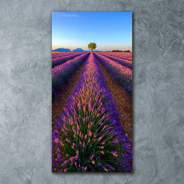 Quadro acrilico verticale Campo di lavanda