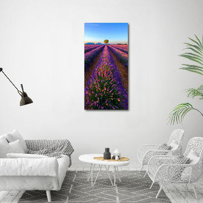 Quadro acrilico verticale Campo di lavanda