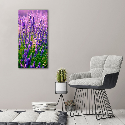 Quadro vetro acrilico verticale Campo di lavanda