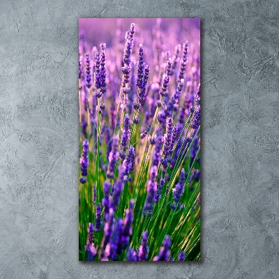 Quadro vetro acrilico verticale Campo di lavanda