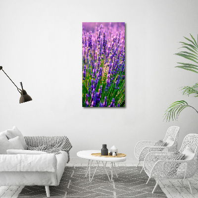Quadro vetro acrilico verticale Campo di lavanda