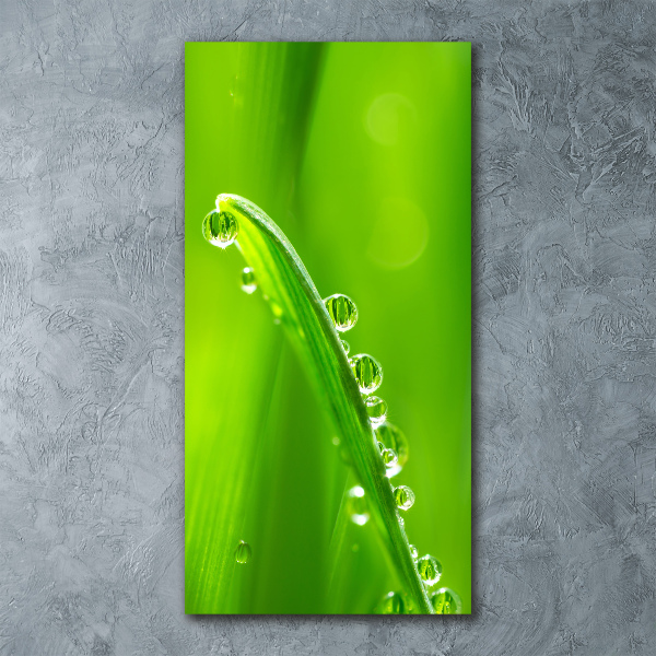 Quadro in vetro acrilico verticale Fili d'erba