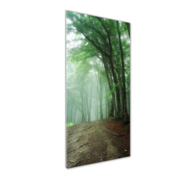 Quadro in vetro acrilico verticale Nebbia nella foresta
