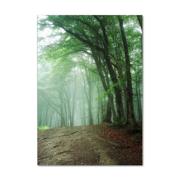 Quadro in vetro acrilico verticale Nebbia nella foresta