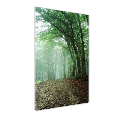 Quadro in vetro acrilico verticale Nebbia nella foresta
