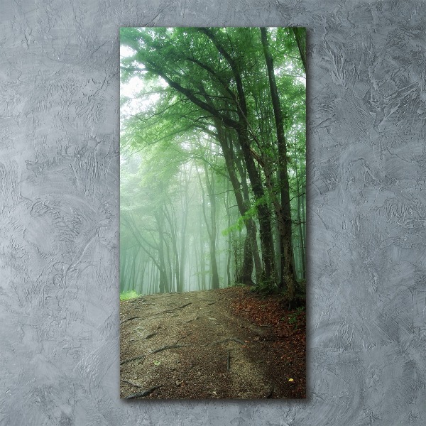 Quadro in vetro acrilico verticale Nebbia nella foresta