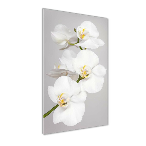 Quadro acrilico verticale Orchidea bianca