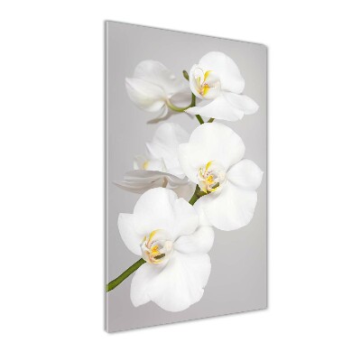Quadro acrilico verticale Orchidea bianca