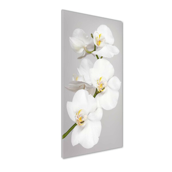 Quadro acrilico verticale Orchidea bianca