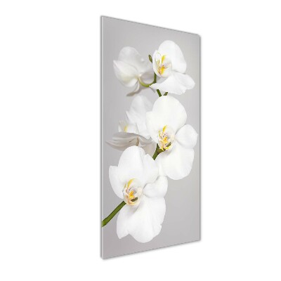 Quadro acrilico verticale Orchidea bianca