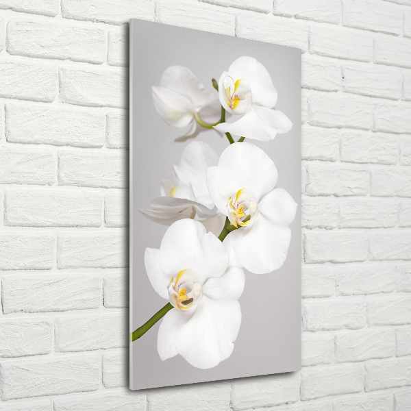 Quadro acrilico verticale Orchidea bianca