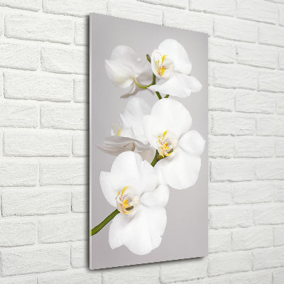 Quadro acrilico verticale Orchidea bianca