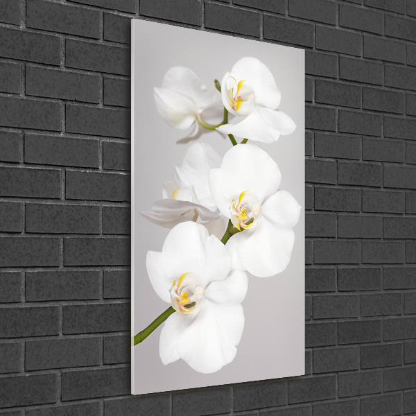 Quadro acrilico verticale Orchidea bianca