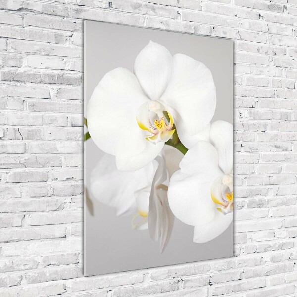 Quadro acrilico verticale Orchidea bianca