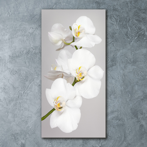 Quadro acrilico verticale Orchidea bianca