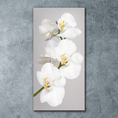 Quadro acrilico verticale Orchidea bianca