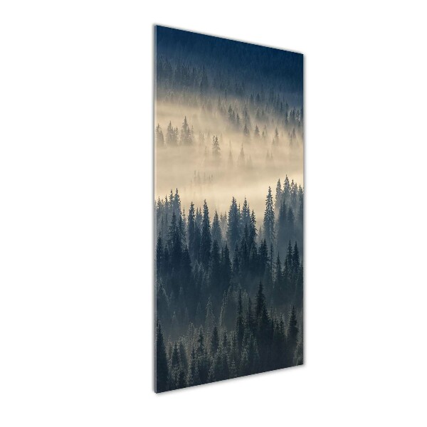 Quadro acrilico verticale Nebbia sulla foresta