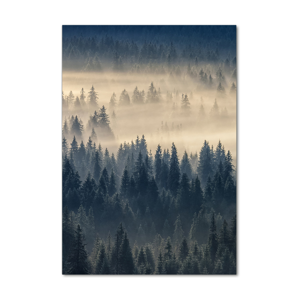Quadro acrilico verticale Nebbia sulla foresta