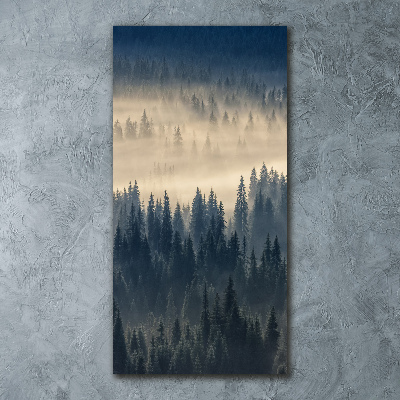 Quadro acrilico verticale Nebbia sulla foresta