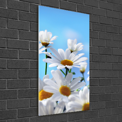 Quadro vetro acrilico verticale Margherite