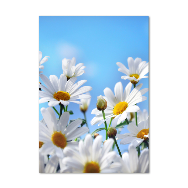 Quadro vetro acrilico verticale Margherite