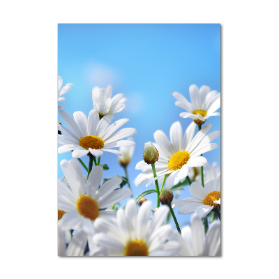 Quadro vetro acrilico verticale Margherite