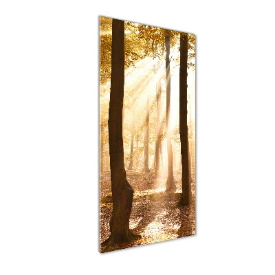 Quadro stampa su vetro acrilico verticale Foresta in autunno