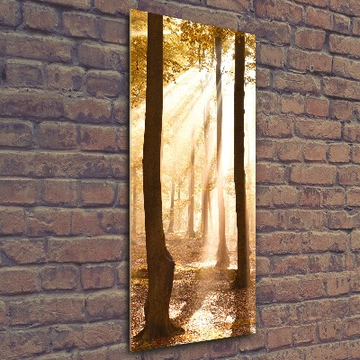 Quadro stampa su vetro acrilico verticale Foresta in autunno