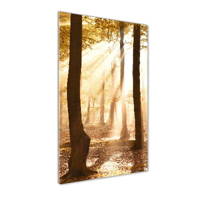 Quadro stampa su vetro acrilico verticale Foresta in autunno