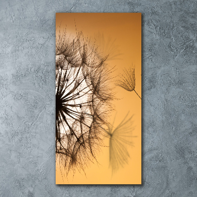 Quadro stampa su vetro acrilico verticale Dente di leone