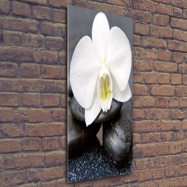 Quadro acrilico verticale Orchidea e pietre