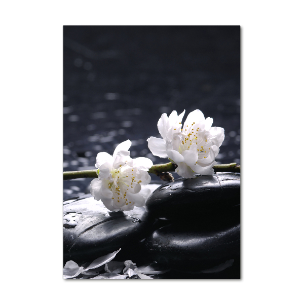 Quadro vetro acrilico verticale Fiori e pietre