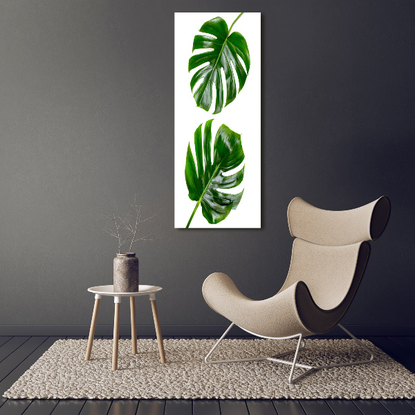 Quadro stampa su vetro acrilico verticale Monstera