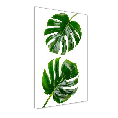 Quadro stampa su vetro acrilico verticale Monstera