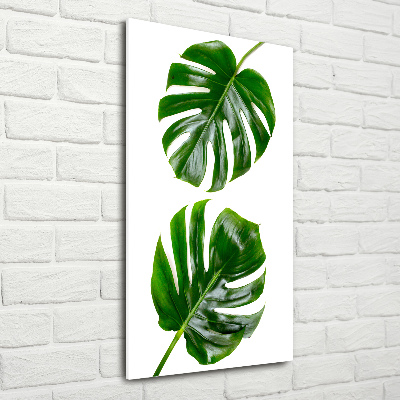 Quadro stampa su vetro acrilico verticale Monstera