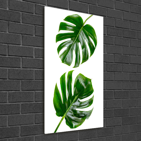 Quadro stampa su vetro acrilico verticale Monstera