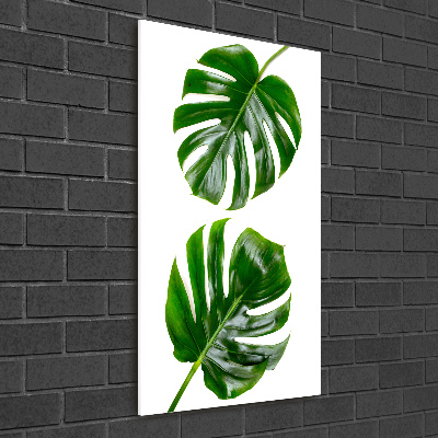 Quadro stampa su vetro acrilico verticale Monstera