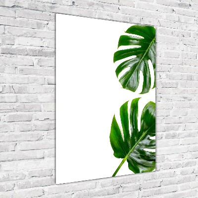 Quadro stampa su vetro acrilico verticale Monstera