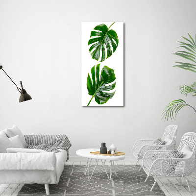 Quadro stampa su vetro acrilico verticale Monstera