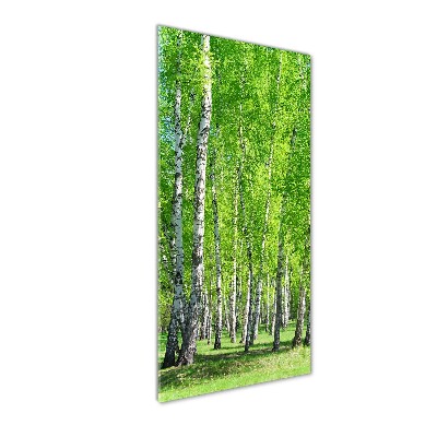 Quadro vetro acrilico verticale Foresta di betulle