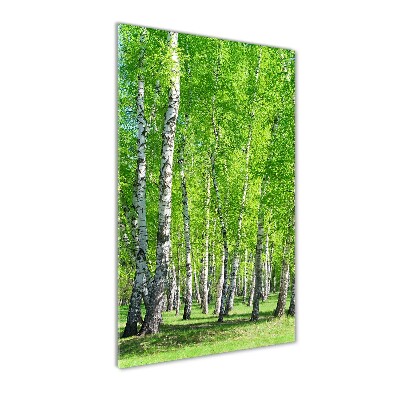 Quadro vetro acrilico verticale Foresta di betulle