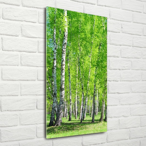 Quadro vetro acrilico verticale Foresta di betulle