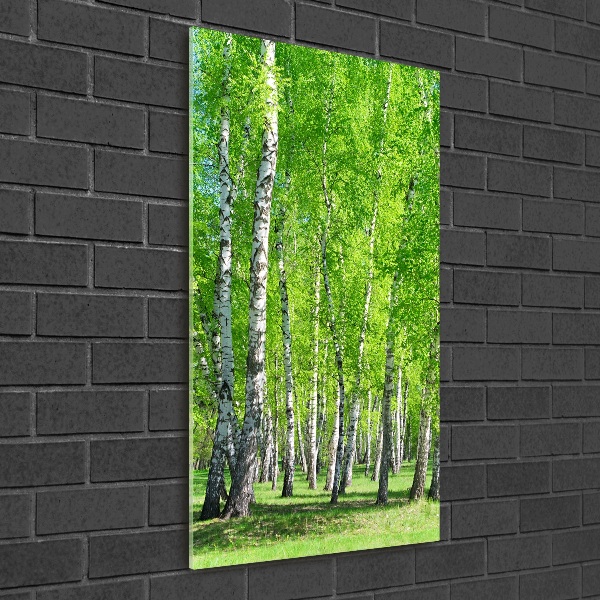 Quadro vetro acrilico verticale Foresta di betulle